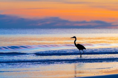 Few neighborhoods as special as Gulf Pines exist along the on Sandestin Golf and Beach Resort - The Links in Florida - for sale on GolfHomes.com, golf home, golf lot