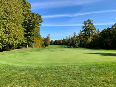 This wooded golf course lot is situated on the 17th hole of the on The Jewel Golf Course in Michigan - for sale on GolfHomes.com, golf home, golf lot