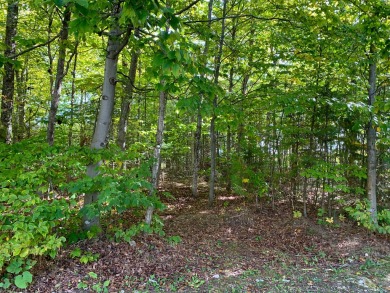 This wooded golf course lot is situated on the 17th hole of the on The Jewel Golf Course in Michigan - for sale on GolfHomes.com, golf home, golf lot