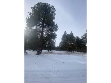 Lovely lot in Divide Ranch and Club and includes PAID water tap on The Divide Ranch and Club in Colorado - for sale on GolfHomes.com, golf home, golf lot