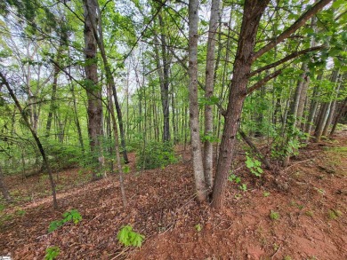 Affordable MOUNTAIN VIEW lot surrounded by upscale homes.  Build on The Clubs at Cherokee Valley Golf Course in South Carolina - for sale on GolfHomes.com, golf home, golf lot