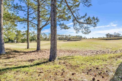 Perfectly situated overlooking the #4 tee box at The Glen Lakes on Glenlakes Golf Club in Alabama - for sale on GolfHomes.com, golf home, golf lot