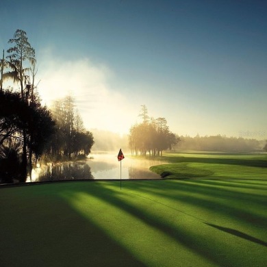 EXECUTIVE SUITE A1 UNIT-This is a great opportunity to own at on Innisbrook Resort and Golf Club in Florida - for sale on GolfHomes.com, golf home, golf lot
