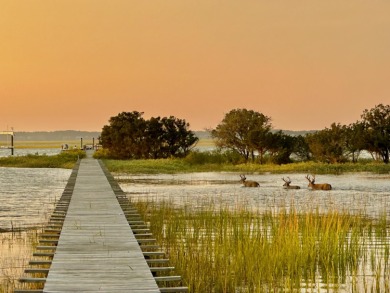 PANORAMIC INTER-COASTAL WATER VIEWS WITH DEEP WATER DOCK on Wild Dunes Harbor Golf Resort in South Carolina - for sale on GolfHomes.com, golf home, golf lot