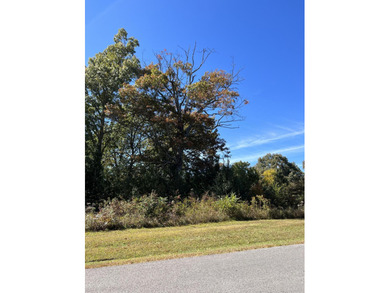 Build your dream home on the 9th hole of the prestigious Lake on Lake Tansi Village Country Club in Tennessee - for sale on GolfHomes.com, golf home, golf lot