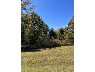 Build your dream home on the 9th hole of the prestigious Lake on Lake Tansi Village Country Club in Tennessee - for sale on GolfHomes.com, golf home, golf lot