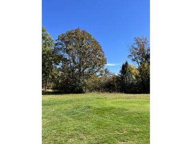 Build your dream home on the 9th hole of the prestigious Lake on Lake Tansi Village Country Club in Tennessee - for sale on GolfHomes.com, golf home, golf lot