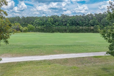 Wake up to stunning views of Jade Lake, the 11th Green of the on Country Club At Silver Springs Shores in Florida - for sale on GolfHomes.com, golf home, golf lot