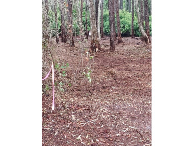 The absolute best cleared bay vies lot in St James Bay Golf & on St. James Bay in Florida - for sale on GolfHomes.com, golf home, golf lot