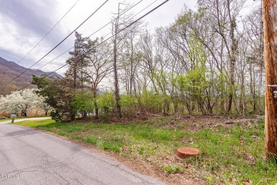 SCENIC LOT in the Ridgefields community! This half acre lot is on Ridgefields Country Club, Inc. in Tennessee - for sale on GolfHomes.com, golf home, golf lot