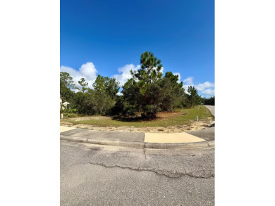 Enjoy a serene lot located at the back of St. James Bay Golf & on St. James Bay in Florida - for sale on GolfHomes.com, golf home, golf lot