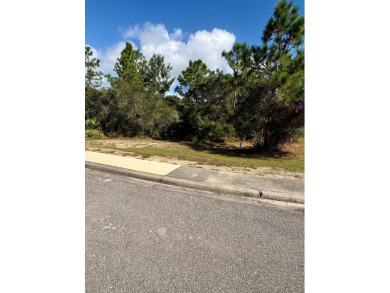 Enjoy a serene lot located at the back of St. James Bay Golf & on St. James Bay in Florida - for sale on GolfHomes.com, golf home, golf lot