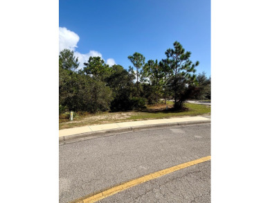 Enjoy a serene lot located at the back of St. James Bay Golf & on St. James Bay in Florida - for sale on GolfHomes.com, golf home, golf lot