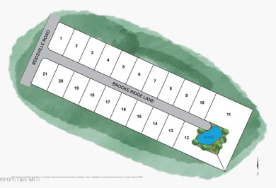 Welcome to the Blossom floorplan in Brooke Ridge, the newest on The Lakes Country Club in North Carolina - for sale on GolfHomes.com, golf home, golf lot