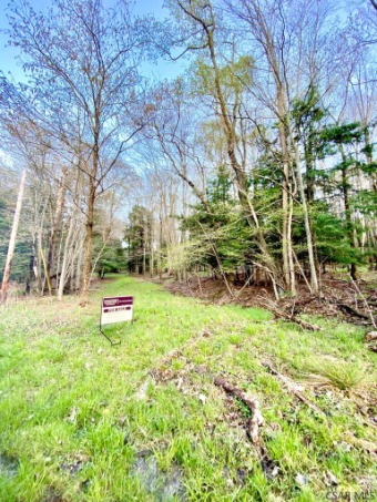 Build your dream lake home at Indian Lake! .86 acre lot ideally on Indian Lake Golf Club in Pennsylvania - for sale on GolfHomes.com, golf home, golf lot