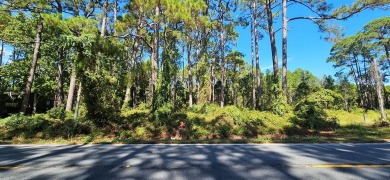 This exceptional 100ft bayview lot offers a rare opportunity to on St. James Bay in Florida - for sale on GolfHomes.com, golf home, golf lot