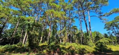 This exceptional 100ft bayview lot offers a rare opportunity to on St. James Bay in Florida - for sale on GolfHomes.com, golf home, golf lot