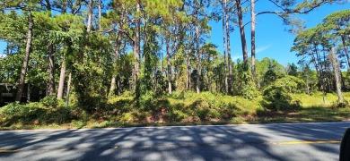 This exceptional 100ft bayview lot offers a rare opportunity to on St. James Bay in Florida - for sale on GolfHomes.com, golf home, golf lot