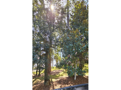 This exceptional 100ft bayview lot offers a rare opportunity to on St. James Bay in Florida - for sale on GolfHomes.com, golf home, golf lot