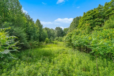 OUTSTANDING 2.1 ACRES BUILDING SITE IN THE RAVINES!   Build your on Ravines Golf Club in Michigan - for sale on GolfHomes.com, golf home, golf lot
