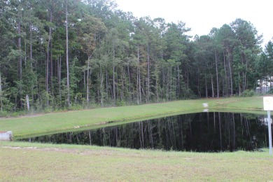 Welcome home to this comfy & adorable 2 bedroom 2 bathroom open on Shaftesbury Glen Golf and Fish Club in South Carolina - for sale on GolfHomes.com, golf home, golf lot