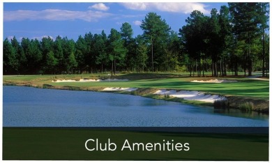 $25,000 membership to Grand Harbor will Convey! You won't find a on The Patriot Golf Club At Grand Harbor in South Carolina - for sale on GolfHomes.com, golf home, golf lot