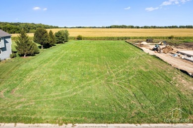 Gorgeous and spacious almost 1 acre lot with no backyard on Whitetail Ridge Golf Course in Illinois - for sale on GolfHomes.com, golf home, golf lot