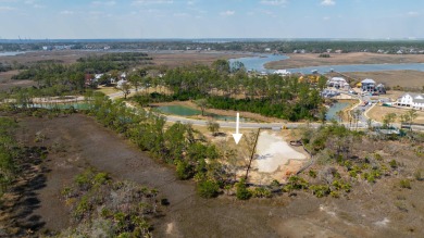 APPROVED ARB PLANS included and FULL GOLF MEMBERSHIP available on Daniel Island Club in South Carolina - for sale on GolfHomes.com, golf home, golf lot