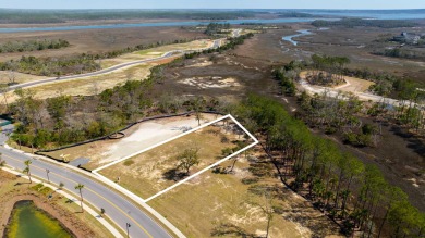 APPROVED ARB PLANS included and FULL GOLF MEMBERSHIP available on Daniel Island Club in South Carolina - for sale on GolfHomes.com, golf home, golf lot