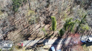 Welcome to your dream homesite! This beautiful third-acre lot on Cortez Golf Course in Arkansas - for sale on GolfHomes.com, golf home, golf lot