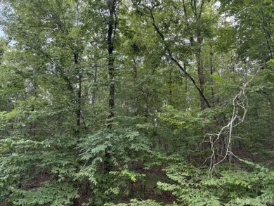 Centrally located near Ponce De Leon shopping area. Near Ponce on Diamante Golf and Country Club in Arkansas - for sale on GolfHomes.com, golf home, golf lot