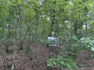 Centrally located near Ponce De Leon shopping area. Near Ponce on Diamante Golf and Country Club in Arkansas - for sale on GolfHomes.com, golf home, golf lot