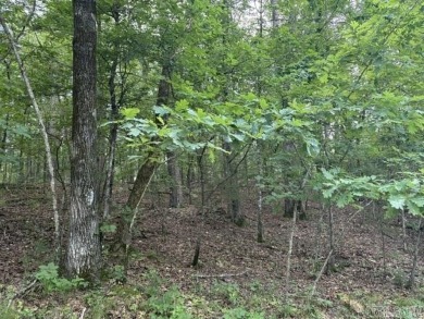 Centrally located near Ponce De Leon shopping area. Near Ponce on Diamante Golf and Country Club in Arkansas - for sale on GolfHomes.com, golf home, golf lot