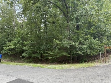 Centrally located near Ponce De Leon shopping area. Near Ponce on Diamante Golf and Country Club in Arkansas - for sale on GolfHomes.com, golf home, golf lot