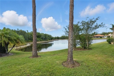 New Tampa's most sought-after 24/7 manned gated communities on Heritage Isles Golf and Country Club in Florida - for sale on GolfHomes.com, golf home, golf lot