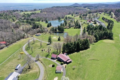 Perfectly positioned on the 9th green and situated on 2+ acres on Skyland Lakes Golf Course in Virginia - for sale on GolfHomes.com, golf home, golf lot