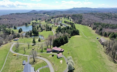 Perfectly positioned on the 9th green and situated on 2+ acres on Skyland Lakes Golf Course in Virginia - for sale on GolfHomes.com, golf home, golf lot