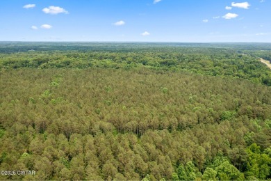 100 Acres of Opportunity on Hwy 412!
This prime property offers on Pinetree Country Club in Tennessee - for sale on GolfHomes.com, golf home, golf lot
