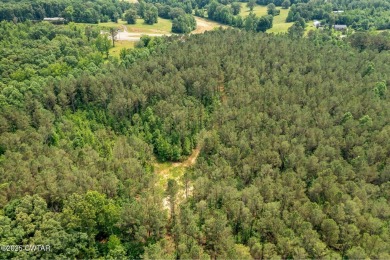 100 Acres of Opportunity on Hwy 412!
This prime property offers on Pinetree Country Club in Tennessee - for sale on GolfHomes.com, golf home, golf lot