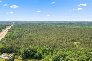 100 Acres of Opportunity on Hwy 412!
This prime property offers on Pinetree Country Club in Tennessee - for sale on GolfHomes.com, golf home, golf lot