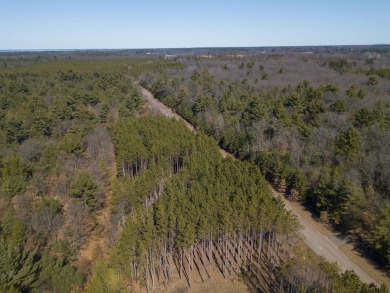 Beautiful wooded lot with *A BONUS* of 1/8th ownership in the on Northern Bay Golf Resort and Marina in Wisconsin - for sale on GolfHomes.com, golf home, golf lot
