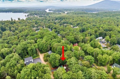 Spring into Lakeside Living! Welcome to your cozy retreat in the on Ridgewood Country Club in New Hampshire - for sale on GolfHomes.com, golf home, golf lot