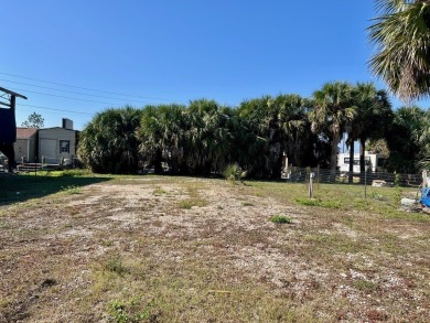 RV READY 50 x 110 lot situated alongside St Joesph Bay! There on  in Florida - for sale on GolfHomes.com, golf home, golf lot