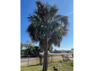 RV READY 50 x 110 lot situated alongside St Joesph Bay! There on  in Florida - for sale on GolfHomes.com, golf home, golf lot