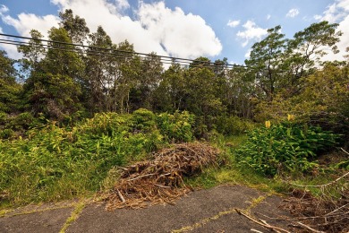Don't miss this fantastic opportunity to own two separate on Volcano Golf and Country Club in Hawaii - for sale on GolfHomes.com, golf home, golf lot