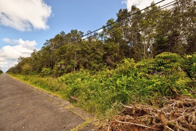 Don't miss this fantastic opportunity to own two separate on Volcano Golf and Country Club in Hawaii - for sale on GolfHomes.com, golf home, golf lot