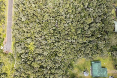 Don't miss this fantastic opportunity to own two separate on Volcano Golf and Country Club in Hawaii - for sale on GolfHomes.com, golf home, golf lot