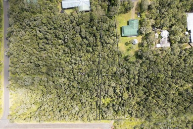 Don't miss this fantastic opportunity to own two separate on Volcano Golf and Country Club in Hawaii - for sale on GolfHomes.com, golf home, golf lot