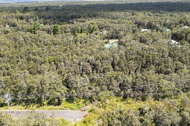 Don't miss this fantastic opportunity to own two separate on Volcano Golf and Country Club in Hawaii - for sale on GolfHomes.com, golf home, golf lot