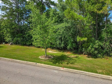 Rare find in the Reserve!  This extra large homesite (.84 ac) is on The Reserve Club At Woodside Plantation in South Carolina - for sale on GolfHomes.com, golf home, golf lot